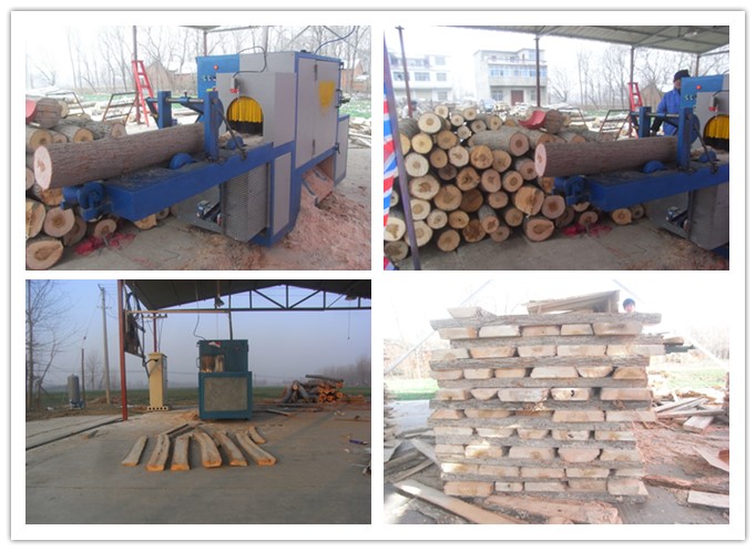 安徽-原木多片鋸工作圖