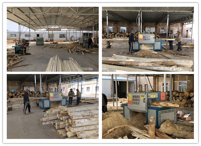 新疆哈密市--雙排鏈原木多片鋸、方木多片鋸、清邊機(jī)加工楊木現(xiàn)場(chǎng)