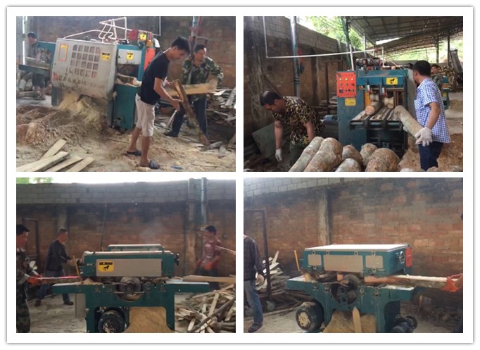 南海三亞--雙排鏈原木多片鋸、簡(jiǎn)易板式多片鋸工作圖