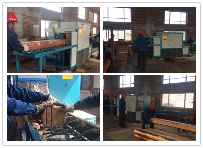 山西晉城大陽(yáng)--原木多片鋸工作圖