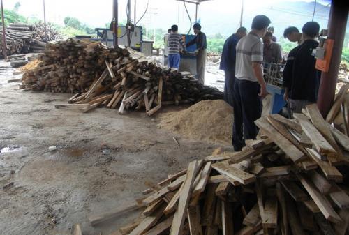 廣東省韶關市馬壩-方木多片鋸150高-加工現(xiàn)場