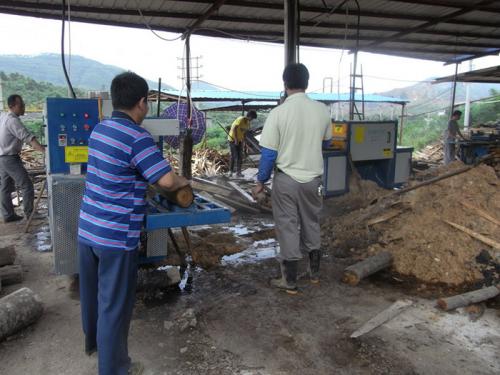 廣東省韶關市馬壩-圓木多片鋸250-加工現(xiàn)場