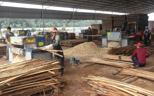 海南島-方木多片鋸加工現(xiàn)場(chǎng)0