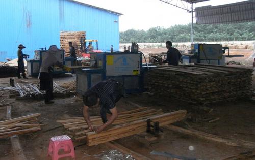海南島-圓木-方木-多片鋸加工現(xiàn)場(chǎng)