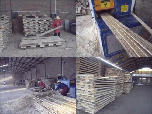 河北省-廊坊-圓木-方木多片鋸-加工現(xiàn)場(chǎng)