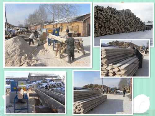 產(chǎn)品名稱:黑龍江伊春新青區(qū)-鋸洛葉松-350原木多片鋸-加工現(xiàn)場(chǎng)