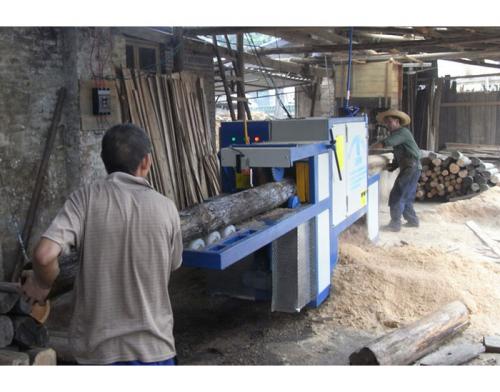 韶關樂昌城200圓木多片鋸加工現場